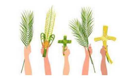 A Reflection for Palm Sunday from Matthew 26: 14-27